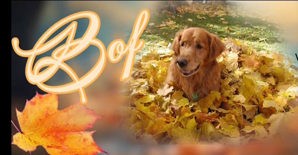BOF - un de nos premier rescue !